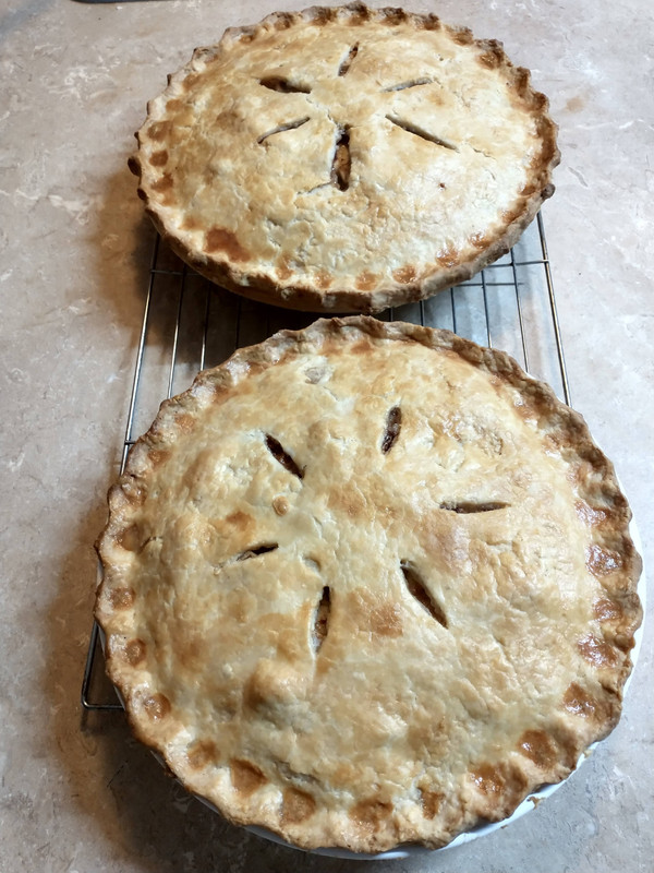 IMG_20220709_204022137_HDR