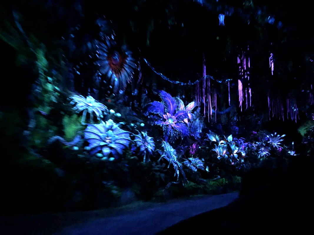 1F9FF624-3CB3-4627-BEFA-D12D56030368