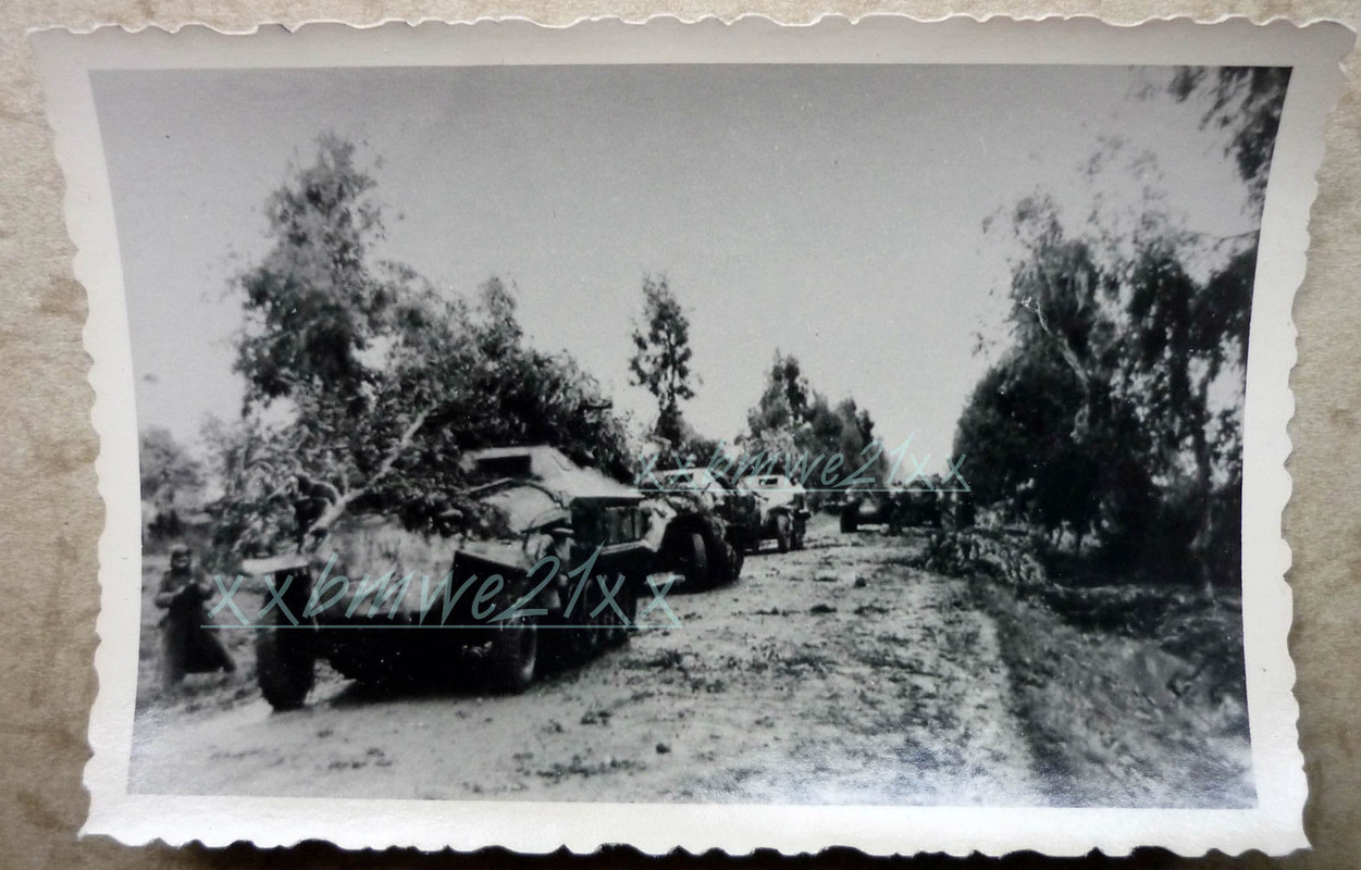 Foto Halbketten Schützenpanzer