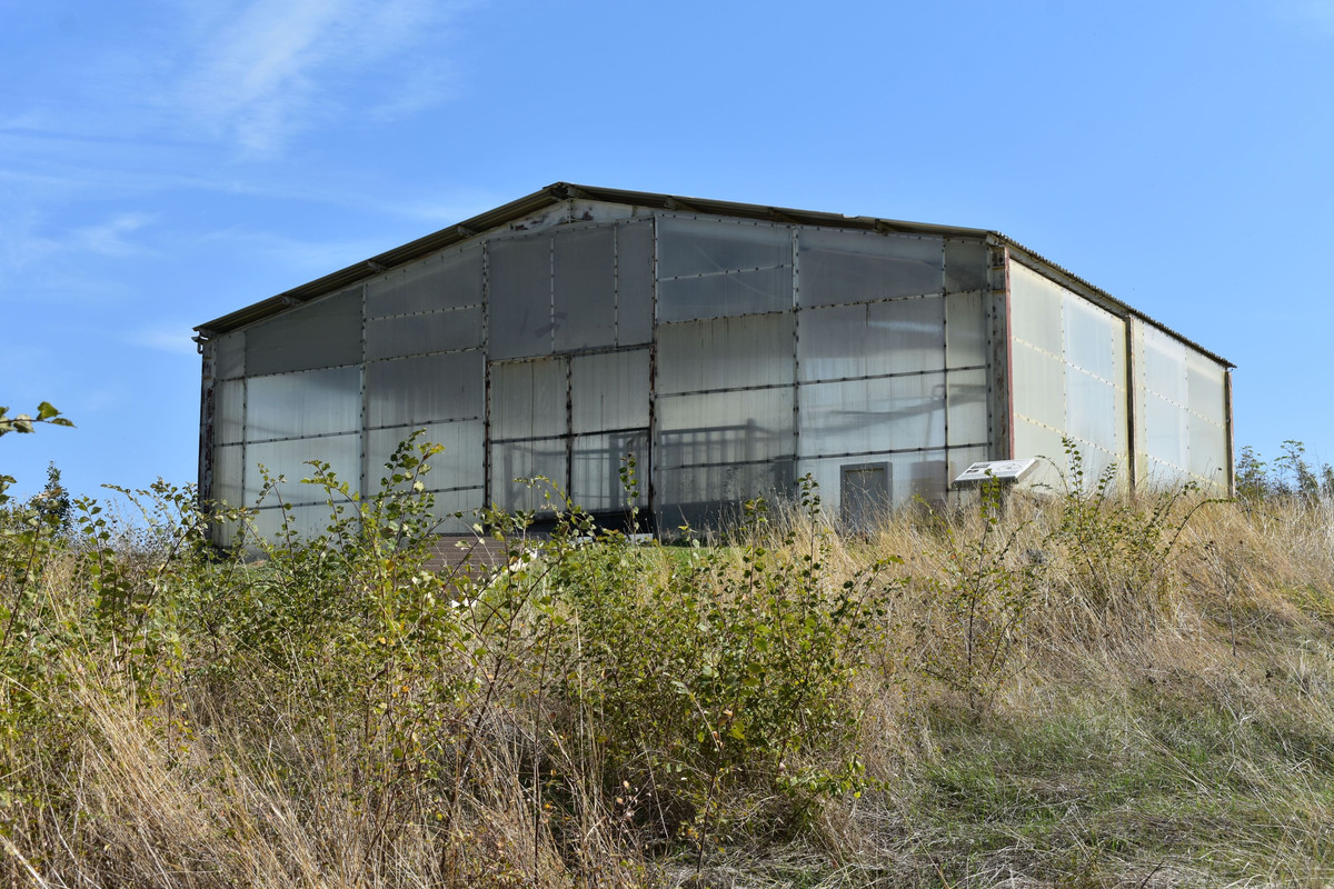 Αρχαία Αιανή (23)