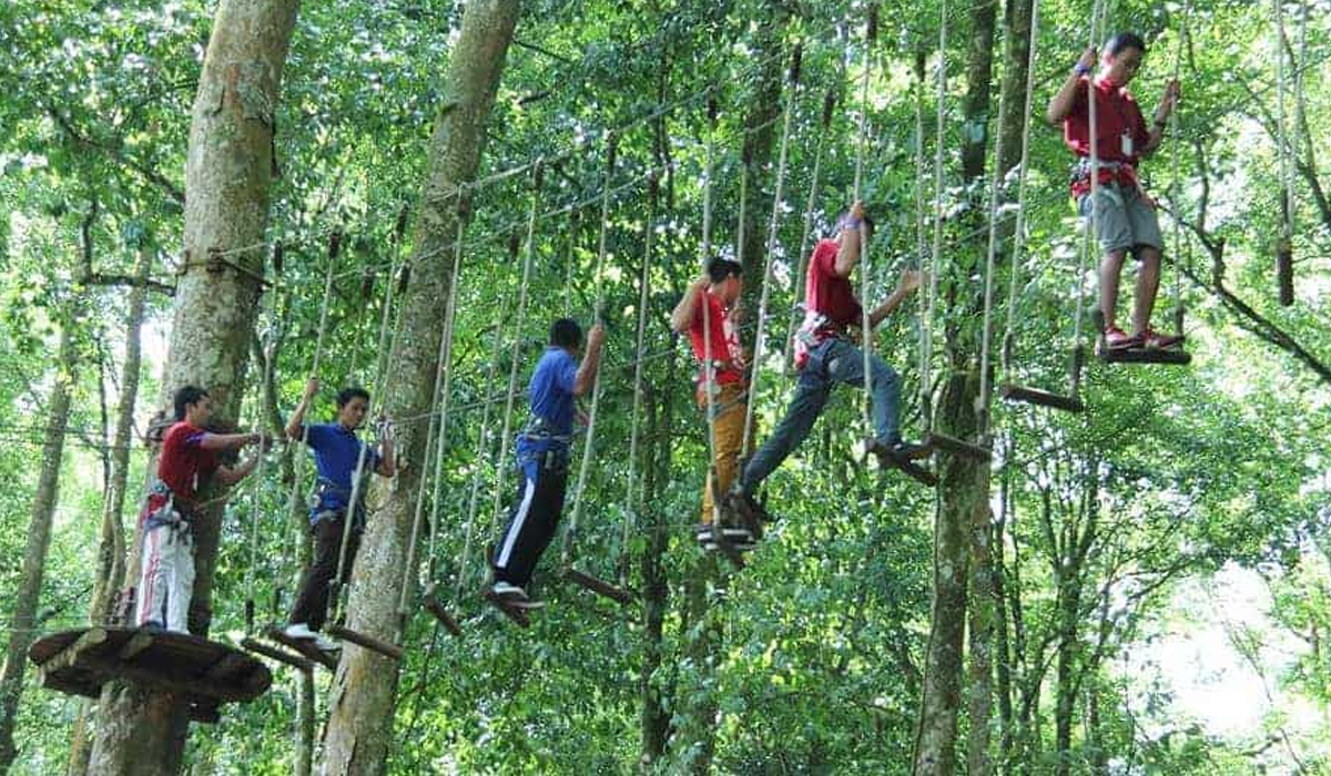 Nikmati Sensasi Melompat dan Flying-Fox di Bali Treetop Adventure Park