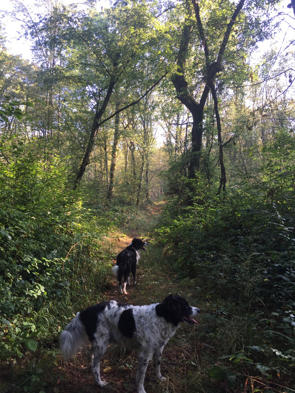 6563D108-4EA4-4F7A-9D00-B341E07923BB