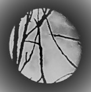 102_1972 (181x209) (4)