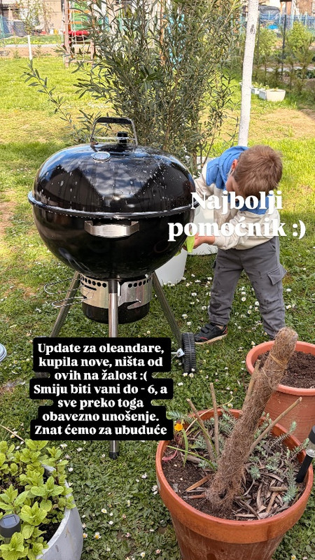 670533543 18584930974041884 2381407579846335402 n