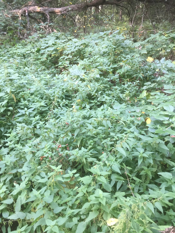 31538E09-11D2-40D9-B348-5C92CD23AB9B