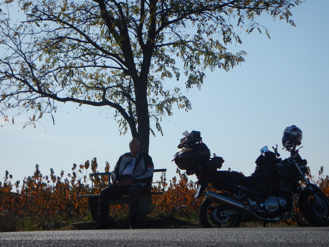 DSCN3854.jpg