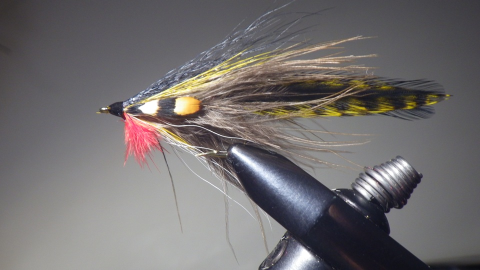 Jack of Hearts v3 sm