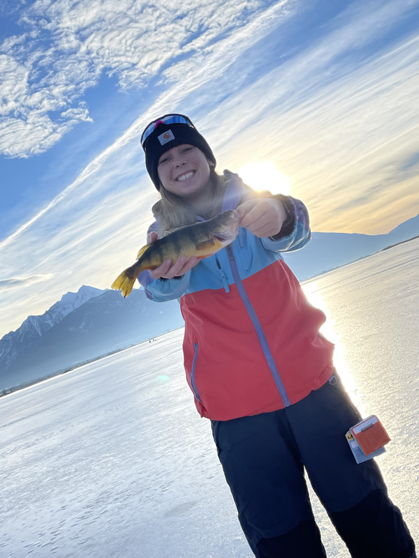 90C30558-63B4-45D0-BCDD-3A4951A55456