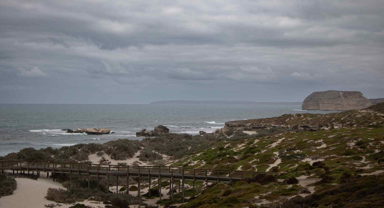 Seal Bay