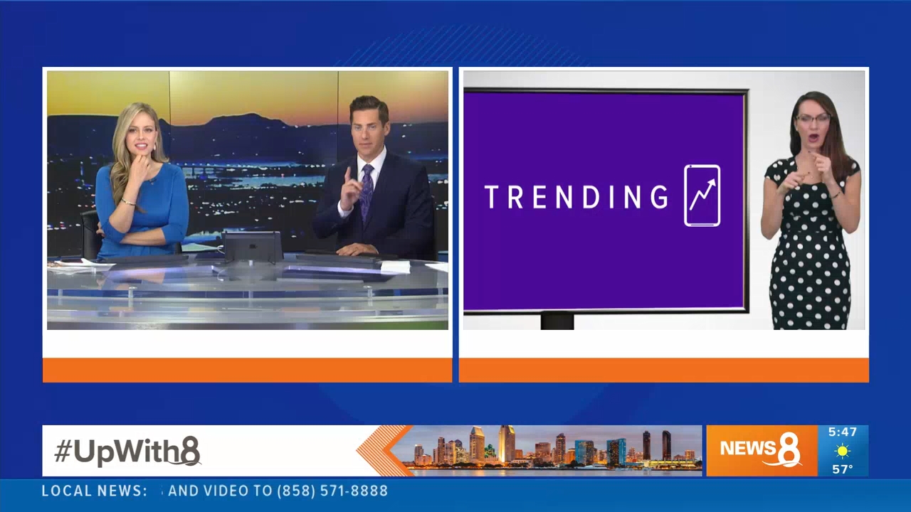 11.11 - 12.30.00 - News 8 This Morning 4 30am  ᴺᵉʷ. News coverage to ..._001.ts_snapshot_00.02.25.18