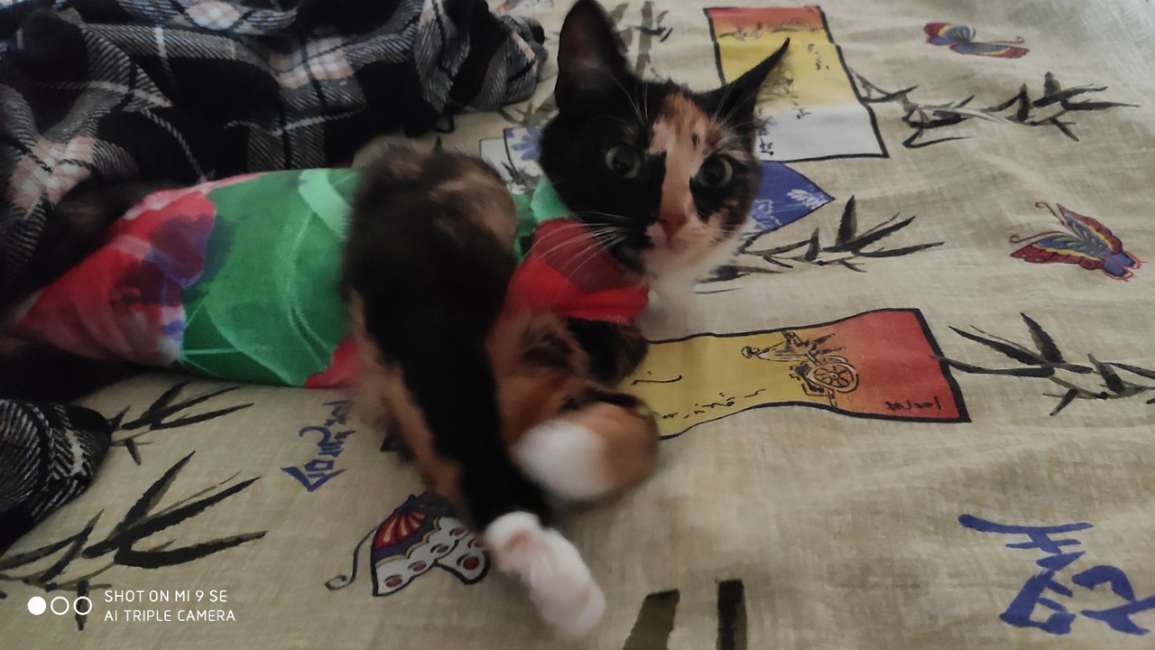 изображение_viber_2020-02-29_10-59-29