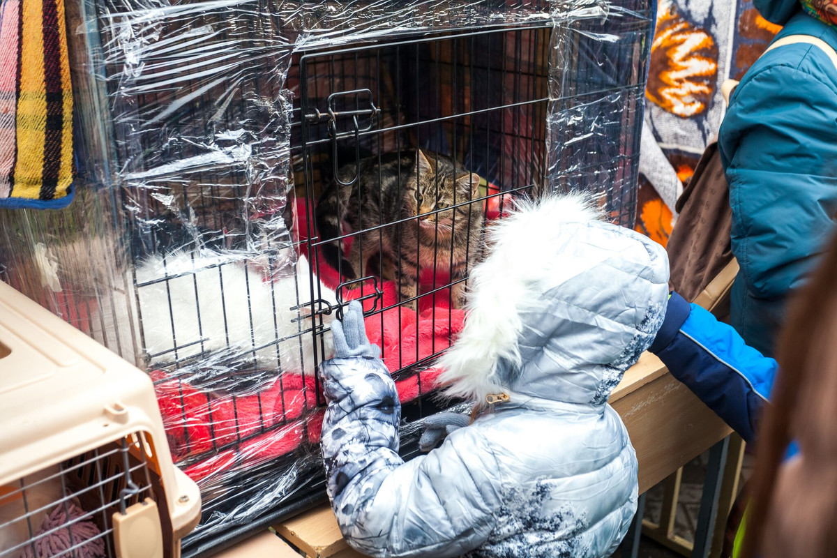 781DF16D-B7E8-45A4-934B-2F6A4F69BCFE