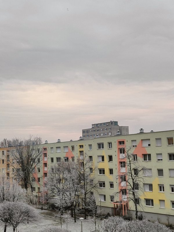 Kép
