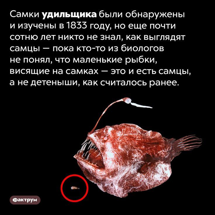 [Изображение: 1b95563df869e2dabaad88abcc085951.jpg]