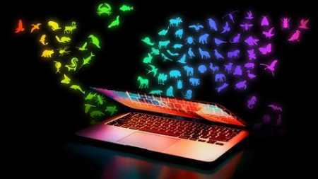 Ecology in R Ecology in R
