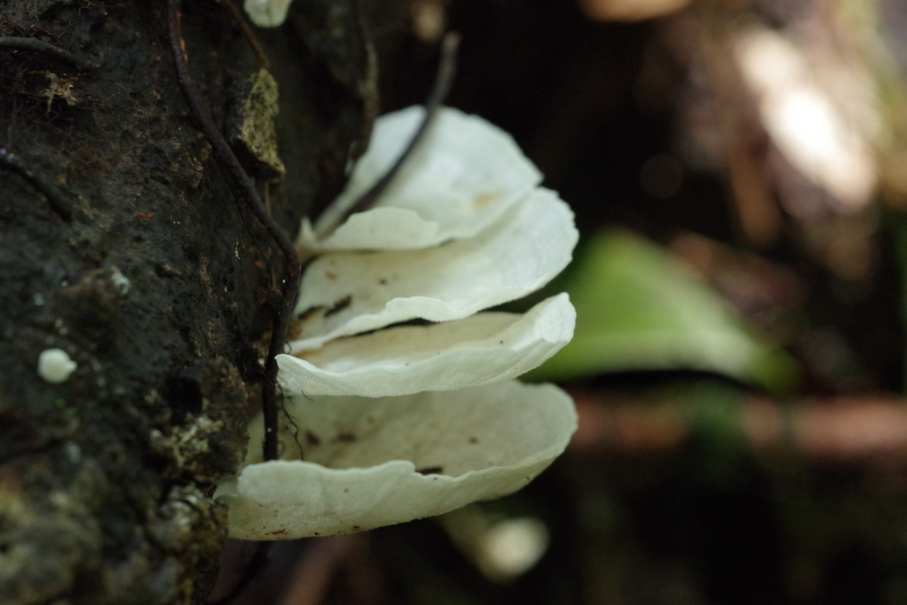 Fieldwork photo 3
