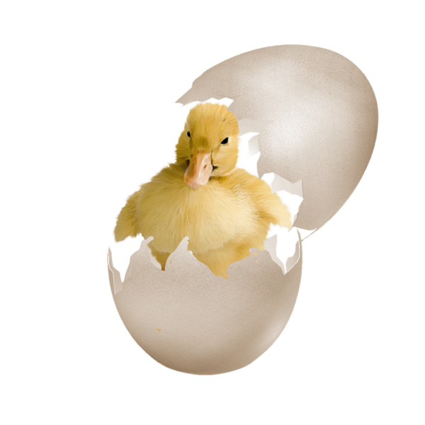 0_1c1a1d_7aaf29bb_orig