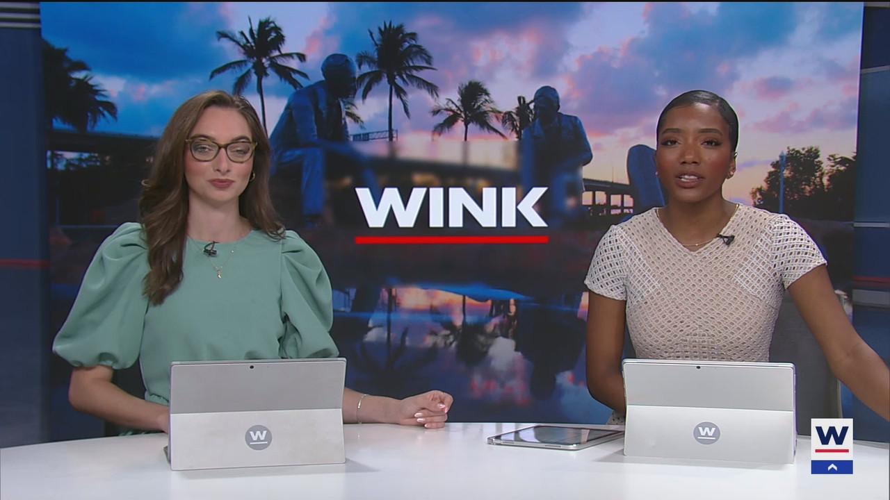 WINK News at 11_20250209_04000500.ts_snapshot_00.10.52.158