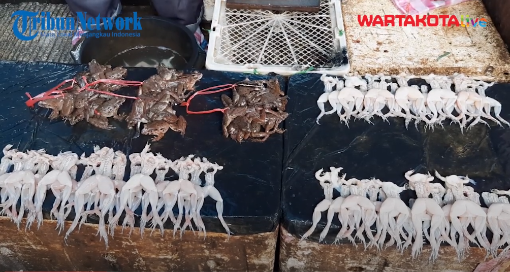 Daging kodok laris manis diburu pembeli meski harganya lebih mahal dibanding daging ayam