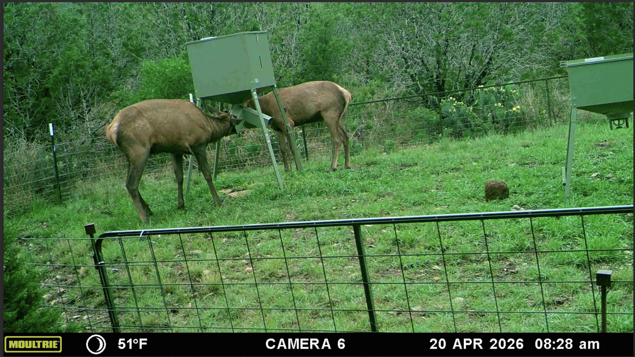 Screen Shot 2026 05 02 at 3 07 49 PM