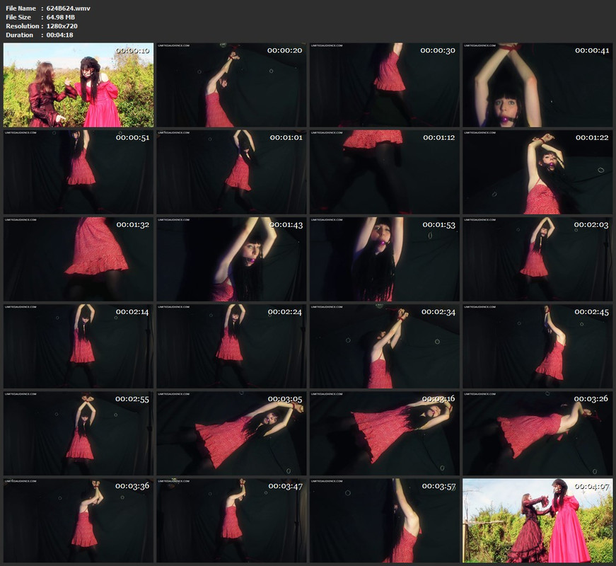 624B624.wmv