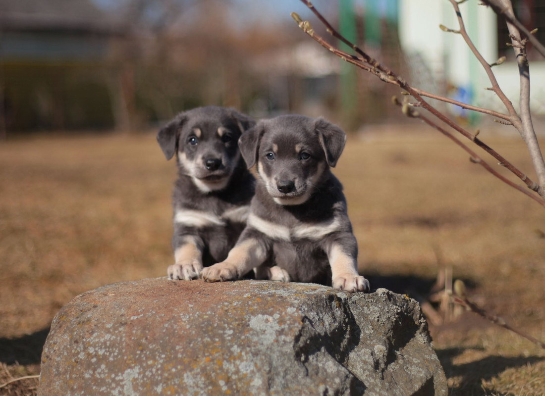 D5C01613-3CBE-4D38-9A38-E7FEC1DDE68C