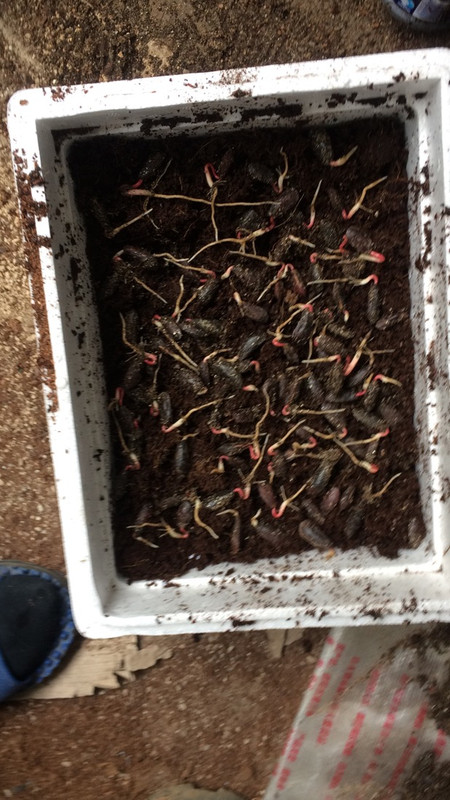 微信图片_20211126223331