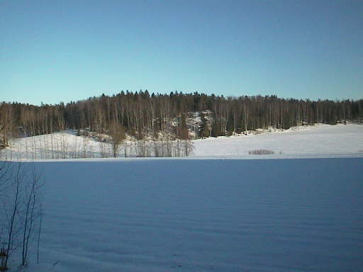 pävänlöytö 09032016raivattu metsa lahdesta keha 