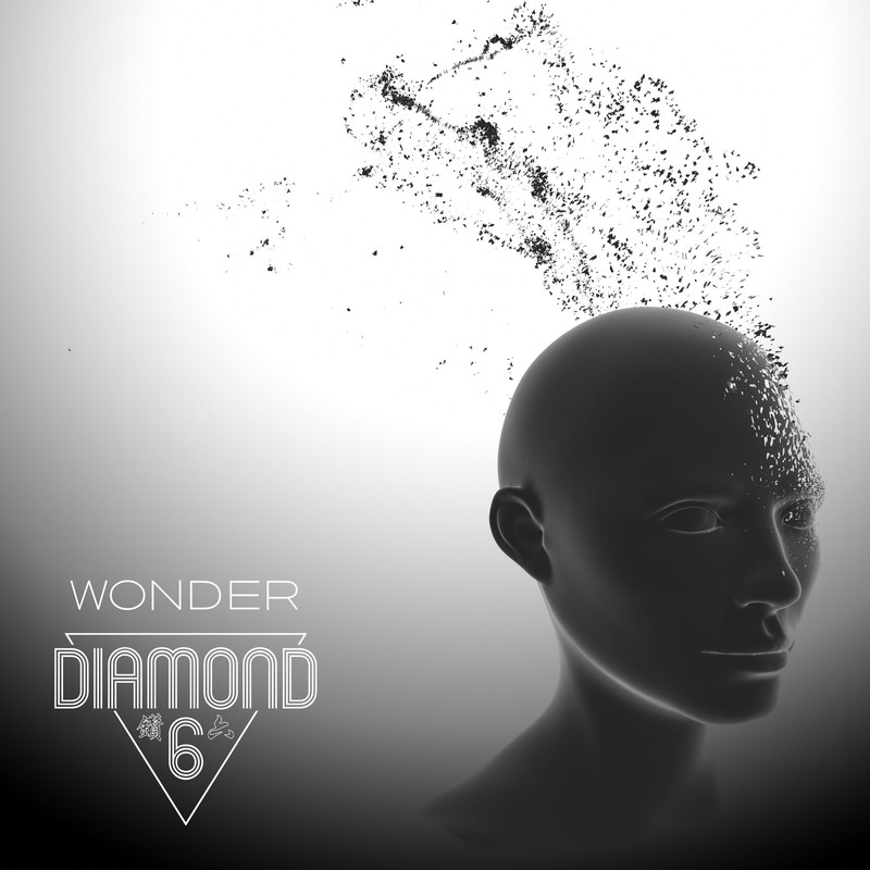 www.facebook.com/diamond6band