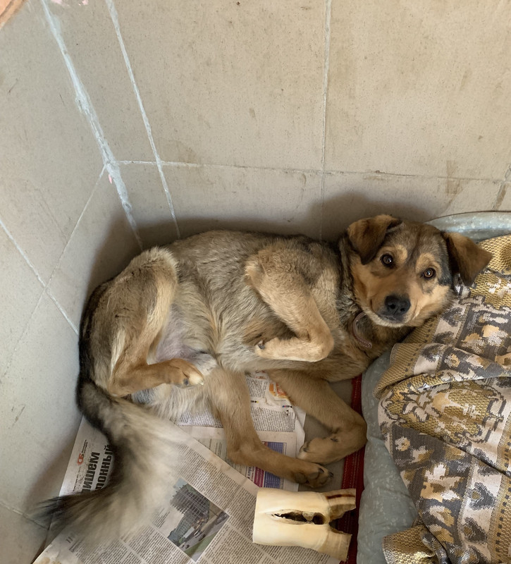 BBA6ED45-6D7B-4B58-8202-23885E4A1BC1