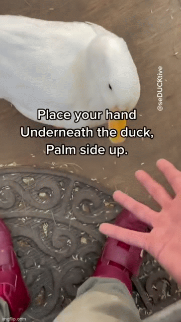 ���� ���� ������ �� ���� ������