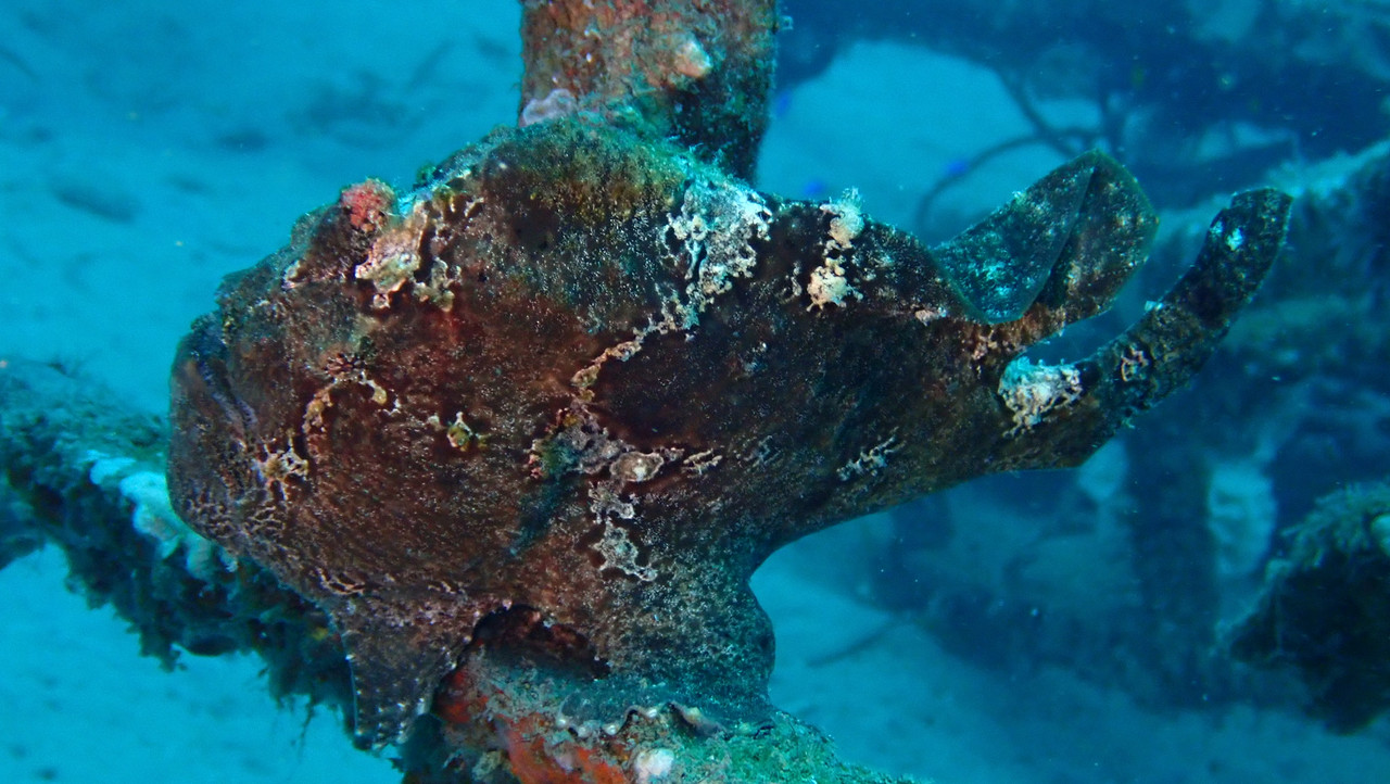 6BCF5C43-0C97-4084-96A7-670BCF7DCE25