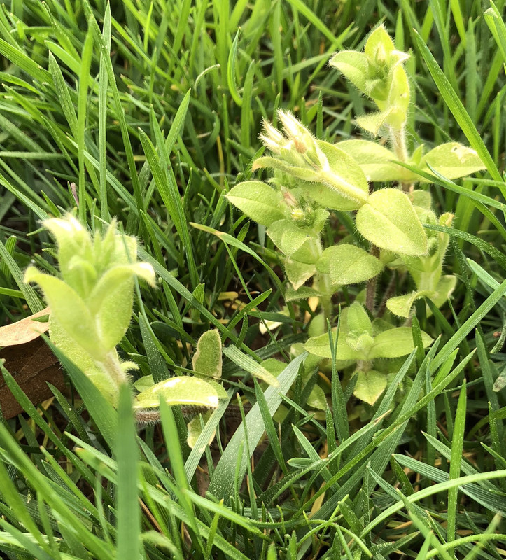 3FF30DAD-1766-4546-BA55-8D4BF048FE13