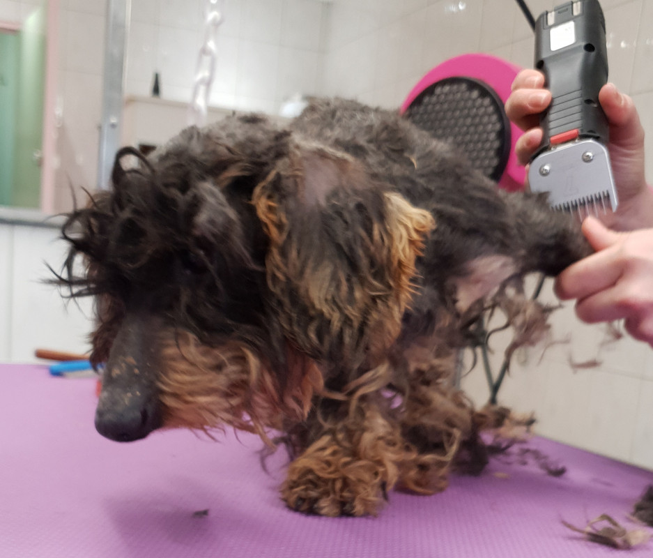 [Image: 20210108-162945.jpg]