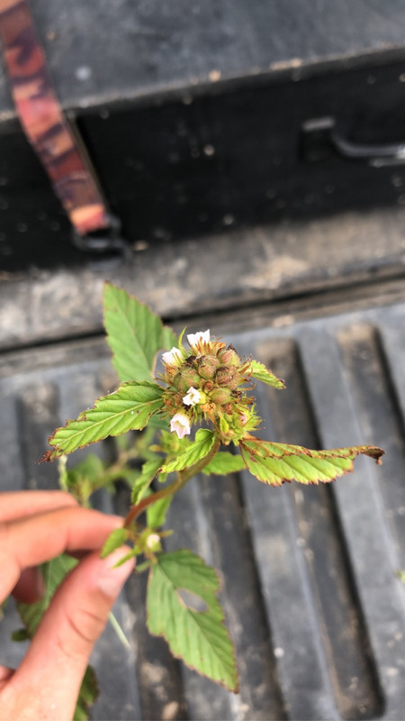 2D70DF49-80F4-40B2-86B0-1DE2E4B68142