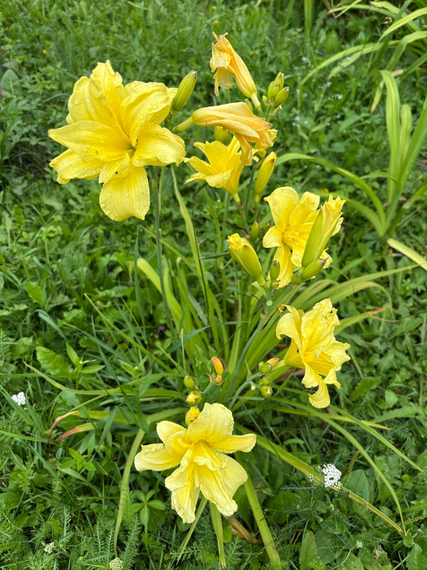 g e C6h A2j w Vf9r O7f0Psoy SKhvic HSDP i We6aa R41YRCPt Fi6Tl6PPqx FPLssfhc0Xct3LVQFAcr 4CMVab Of