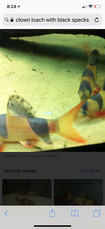 449CA4E8-0C23-4D10-BB55-EB26E717D31C