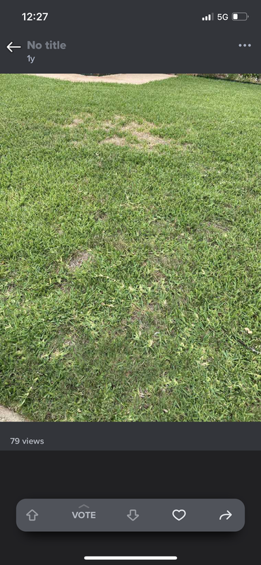 356FD82E-CA00-4758-B7EC-6D98AFBBAB8C