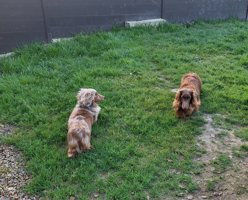 [Image: 20240324-182622.jpg]