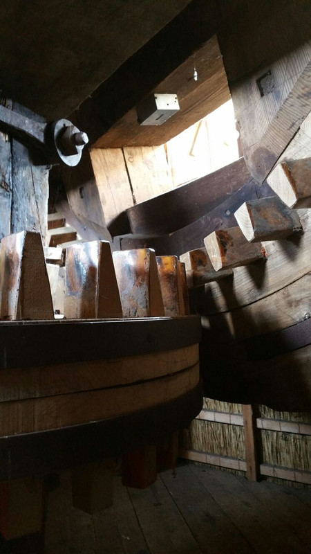 Grenszicht 66 Emmer-Compascuum