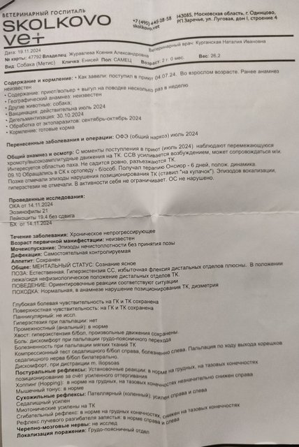 IMG-20241119-WA0031
