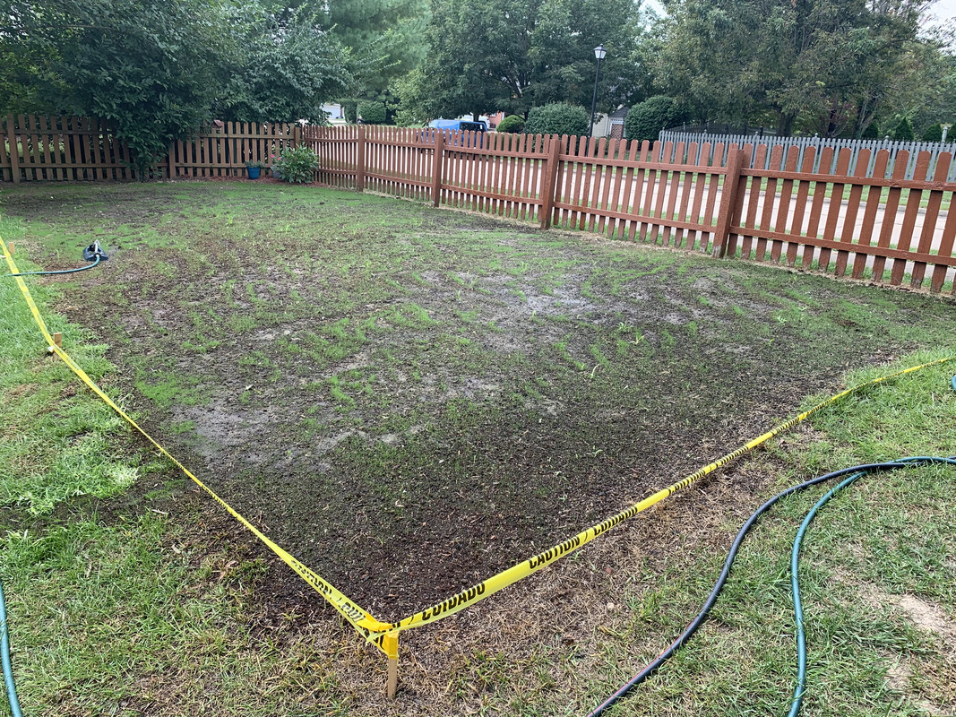 9D0DB127-AD88-4887-8357-F7A4F813E39F