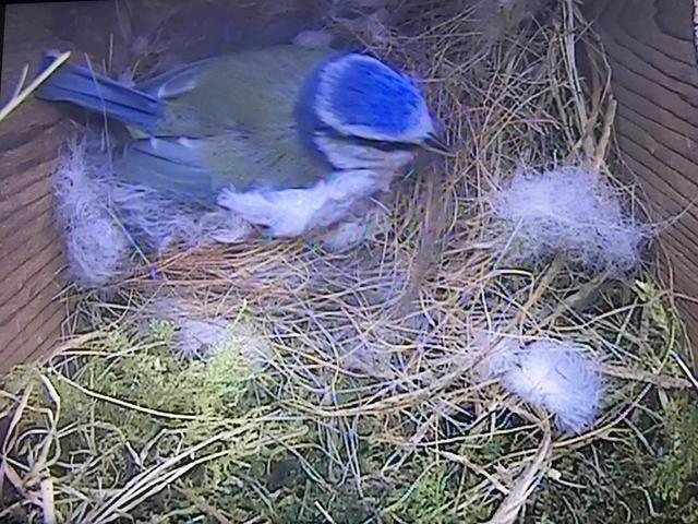 55A36D48-8DDD-4BBF-B270-93DC752D4D9D