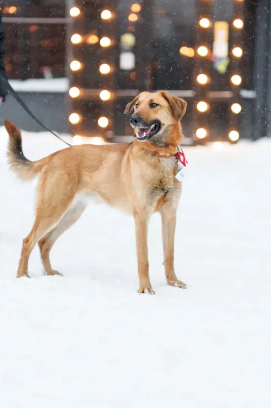 eq2nugLixVon3b0PwX6desn-w3AV5HyT_Ks_FH-YxpNjQhafmF5k9UdiSVLlV8_dEaBkRXLWBybpMyrb1mNIUg==?uid=0&filen