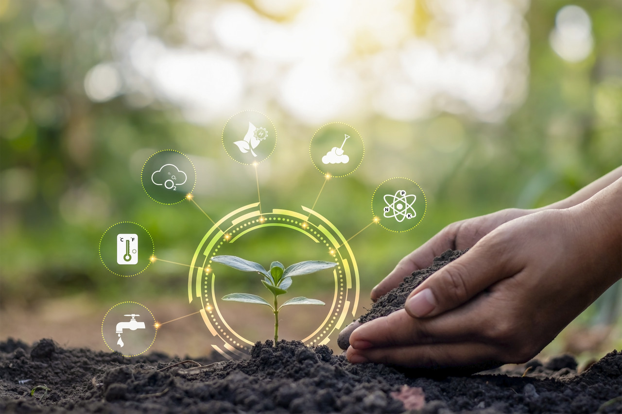 Sustentabilidade e impacto