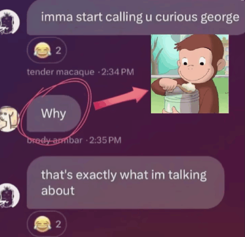 A screenshot of a text between 2 people with person 1 calling person 2 curious george.