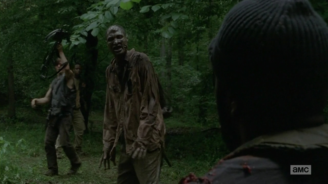 Fotos 02577 The.Walking.Dead.S04E03.HDTV.720p.x2