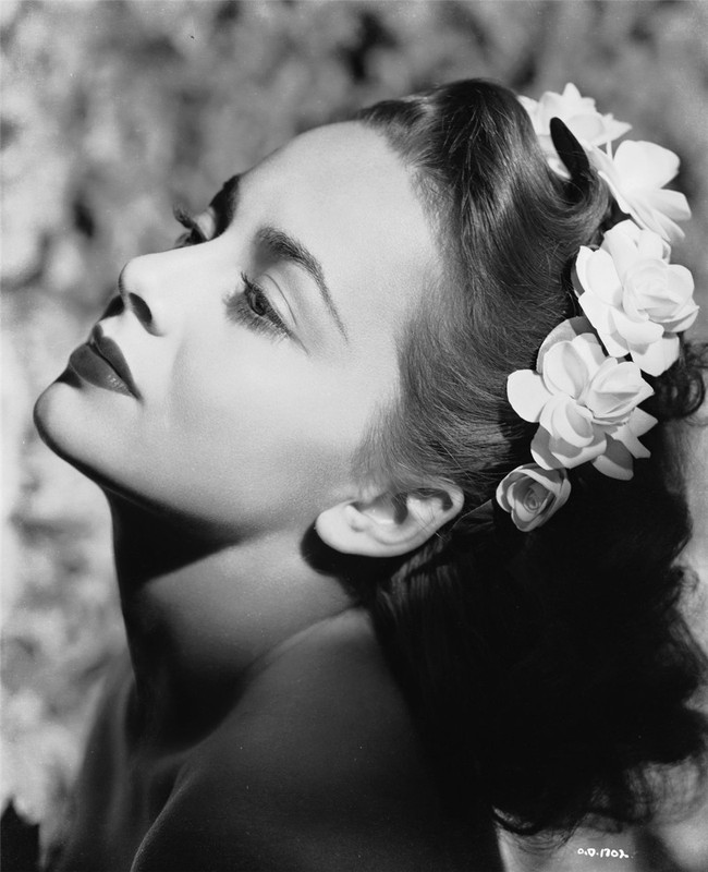 olivia_de_havilland_b21