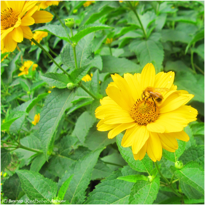 IMG-4877-2015