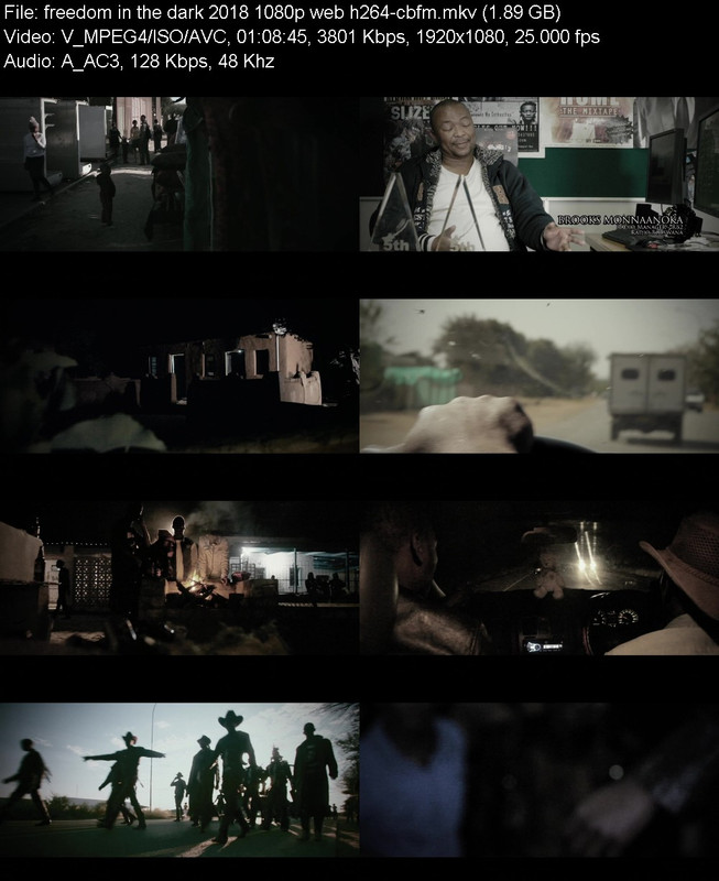 freedom-in-the-dark-2018-1080p-web-h264-